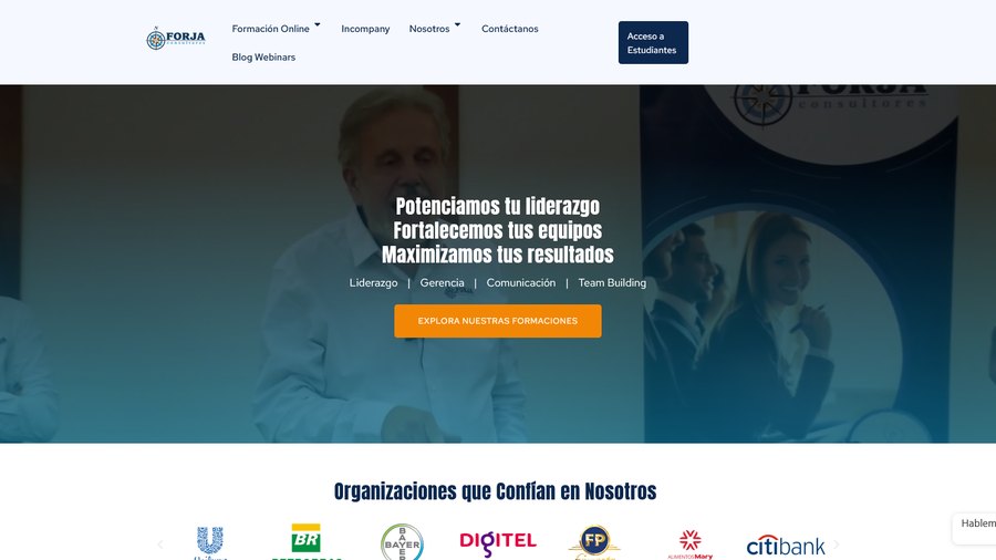 Sitio web de Forja Consultores